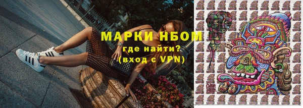 твердый Алзамай