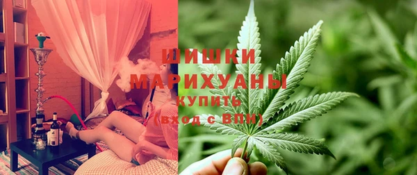 твердый Алзамай