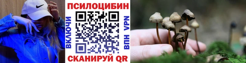 Псилоцибиновые грибы Magic Shrooms  закладки  Тавда 